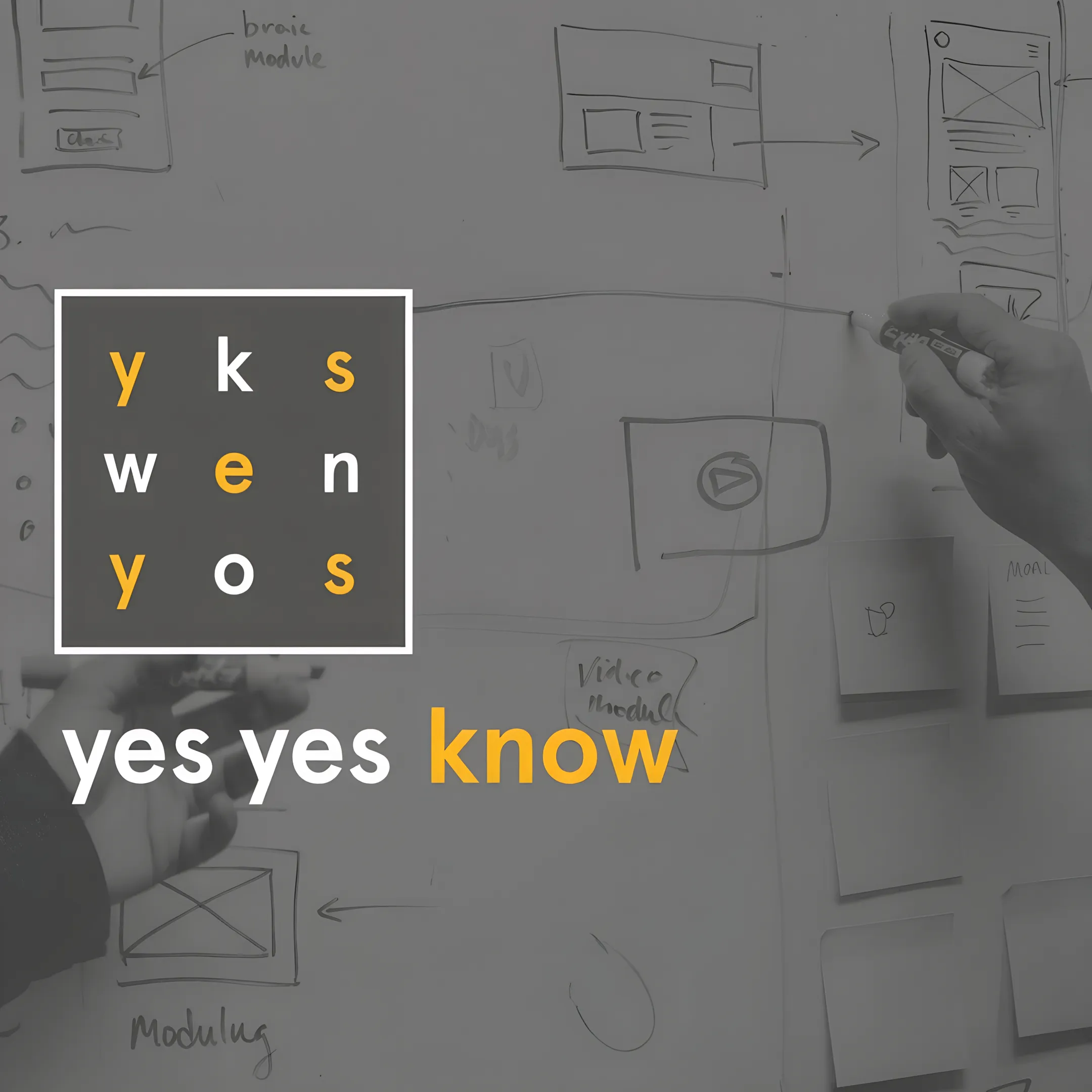 UX consultant presenting an accessible product design strategy to a software team