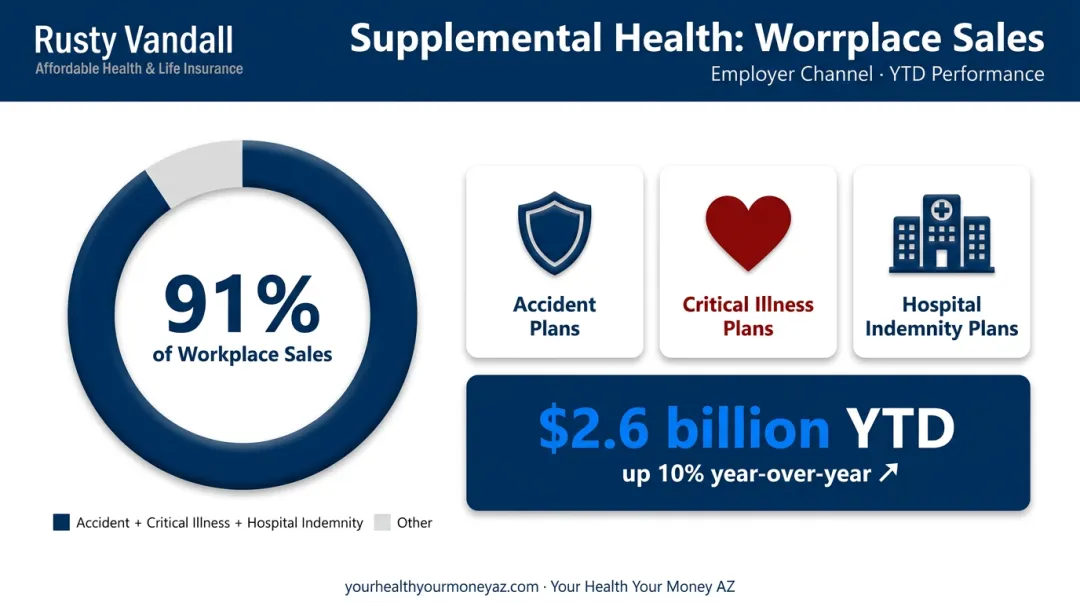 Supplemental health insurance workplace sales breakdown showing 91 percent market share infographic