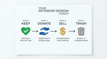 Infographic