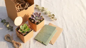 Eco-friendly corporate gift set with plant kit seed paper and bamboo accessories